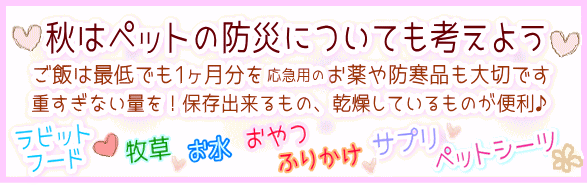 防災について考えてみよう！