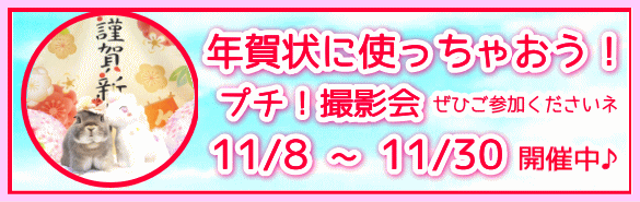 年賀状に使っちゃおう!プチ撮影会