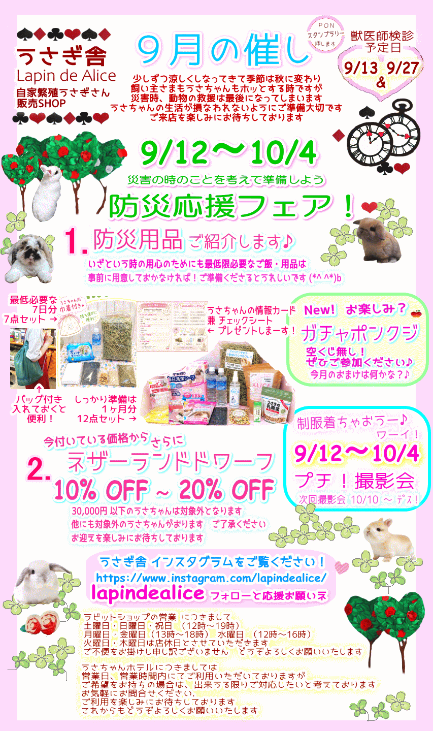 ２０２６年９月のお知らせ