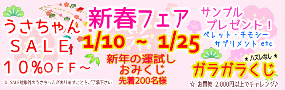 新春フェア！