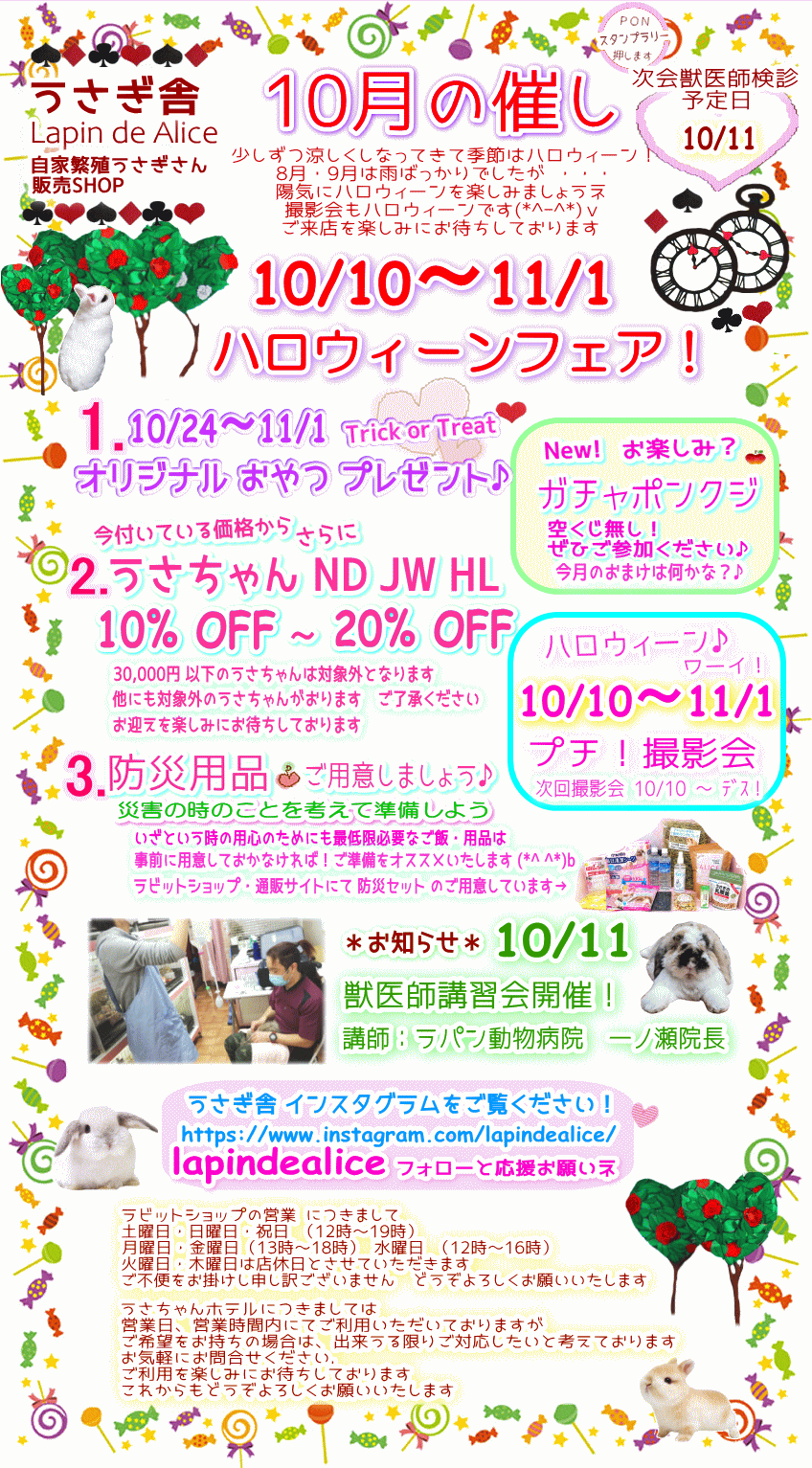 １０月のお知らせ