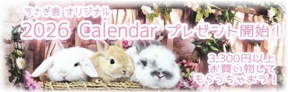 カレンダープレゼント！