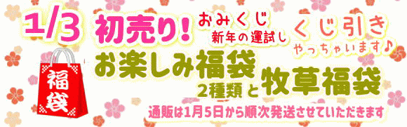 初売り福袋
