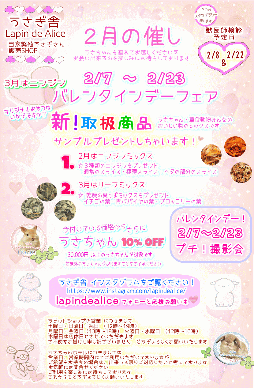 ２月のお知らせ