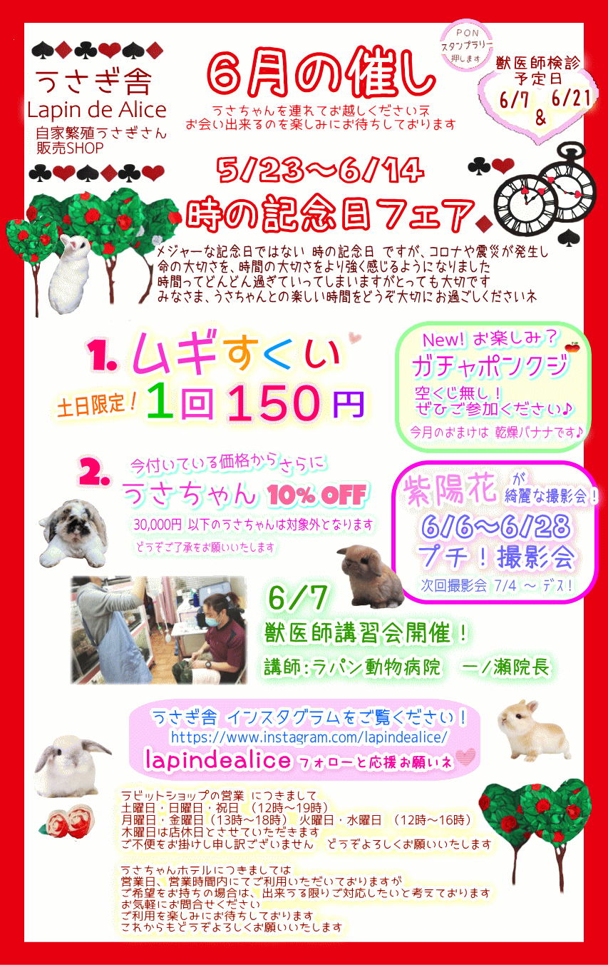 ６月のお知らせ
