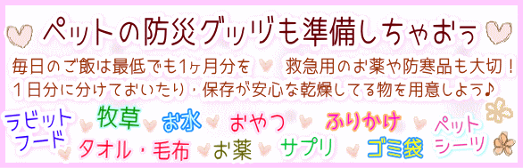 ペットの防災グッヅも準備しちゃおぅ!