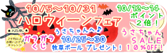 ハロウィーンフェア！