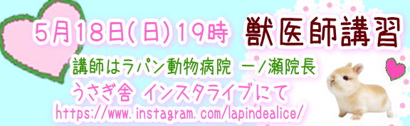 獣医師講習会