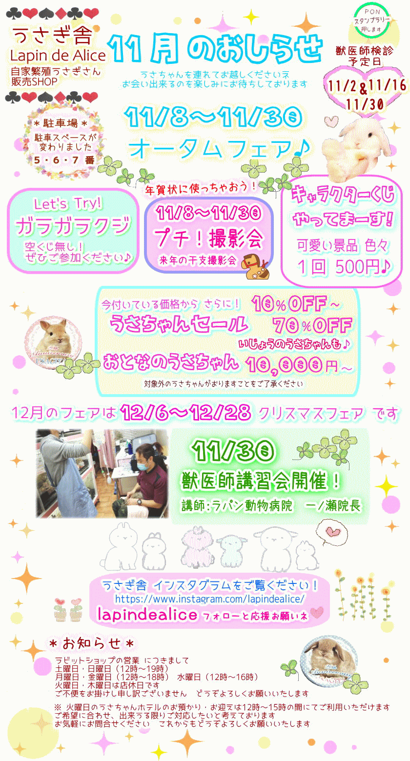 １１月のお知らせ