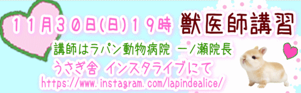 獣医師講習会!