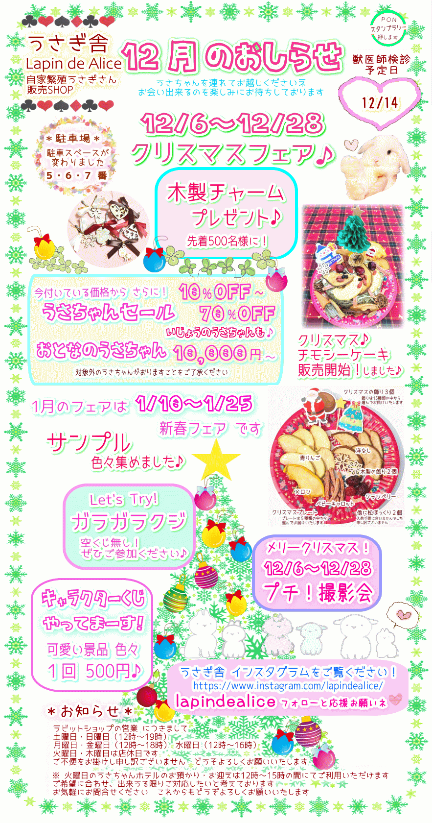 うさぎ舎 Lapin de Alice 店 うさぎ専門店 うさぎ舎 Lapin de Alice