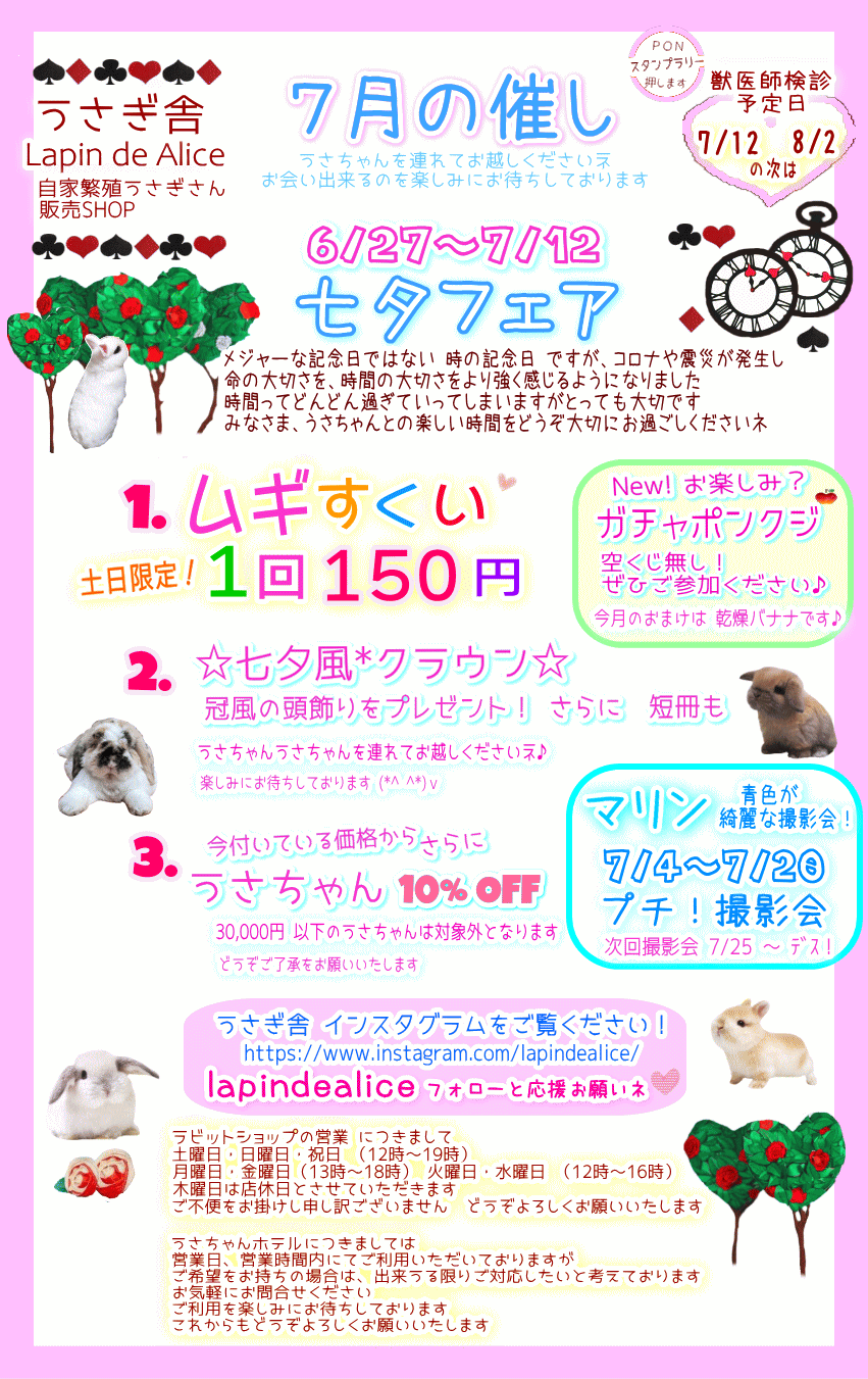 2026年7月のお知らせ うさぎ専門店 うさぎ舎 Lapin de Alice