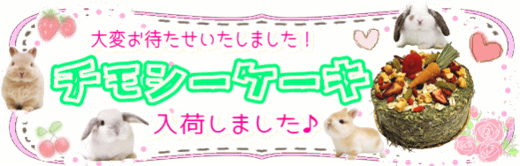 チモシーケーキ入荷しました~!