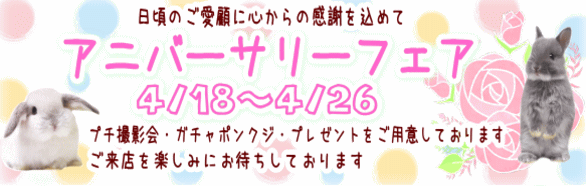 アニバーサリーフェア!