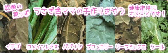 乾燥の葉っぱシリーズ